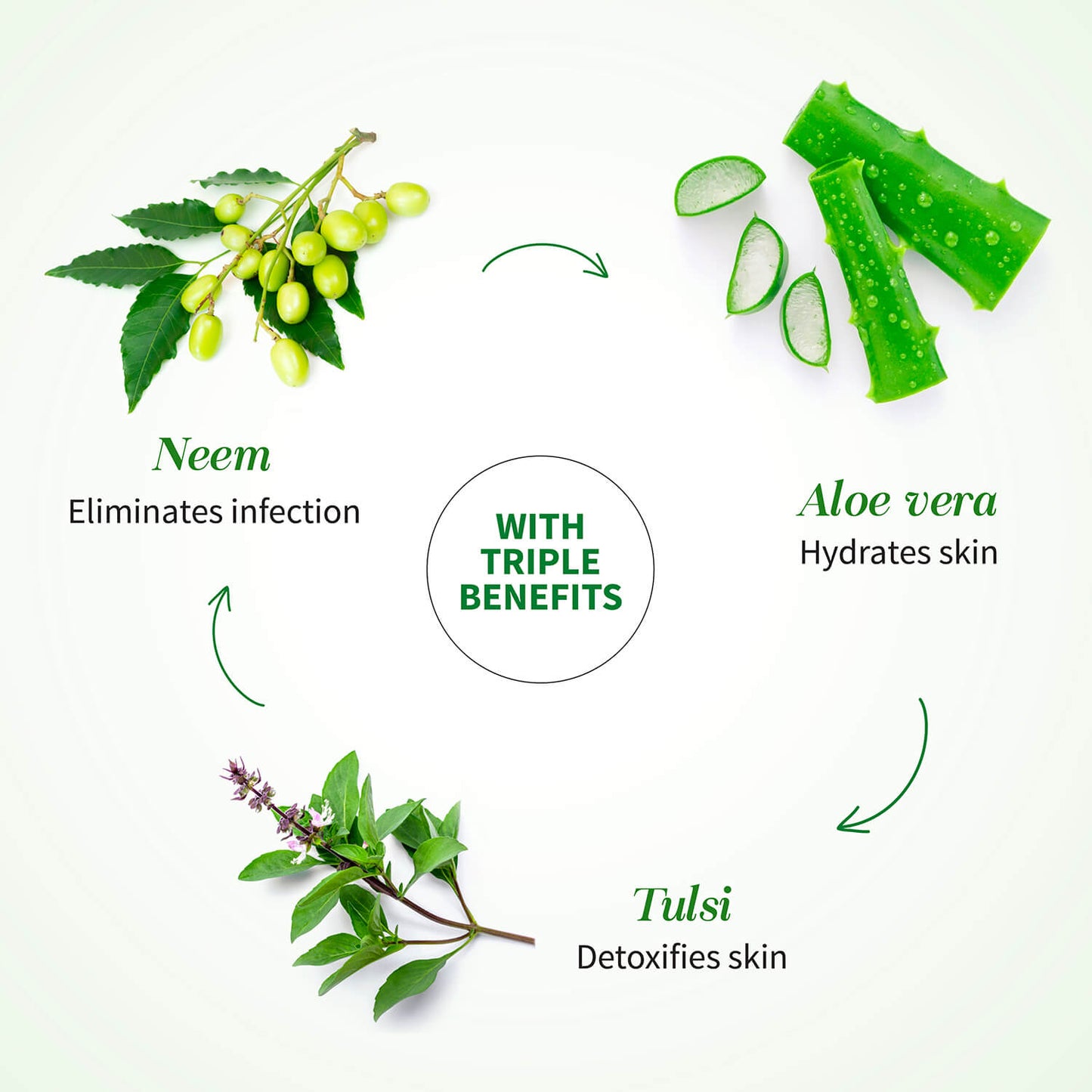 Ayouthveda Aloe Vera Gel for Face, Hair & Body Net Qty- 150g