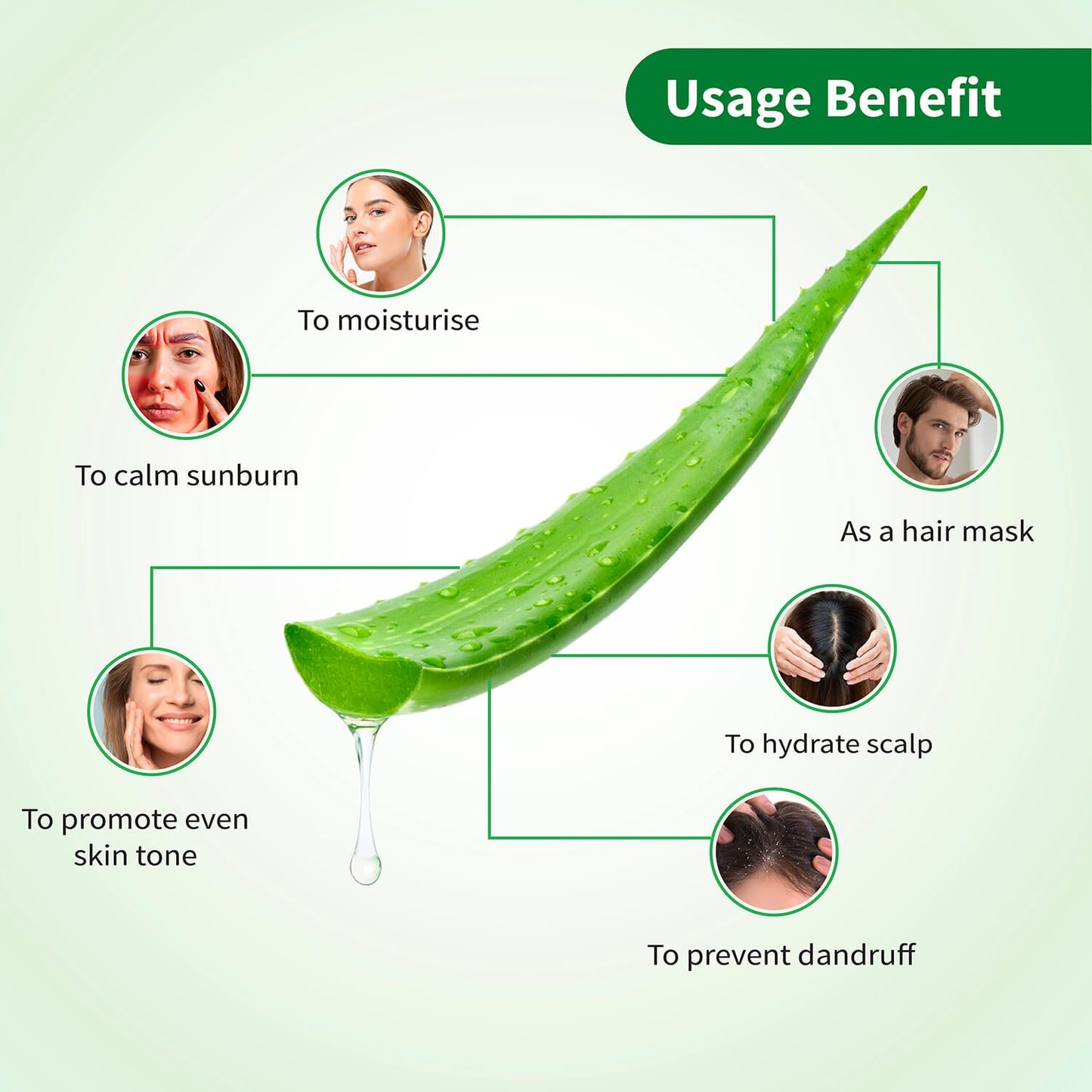 Ayouthveda Aloe Vera Gel for Face, Hair & Body Net Qty- 150g